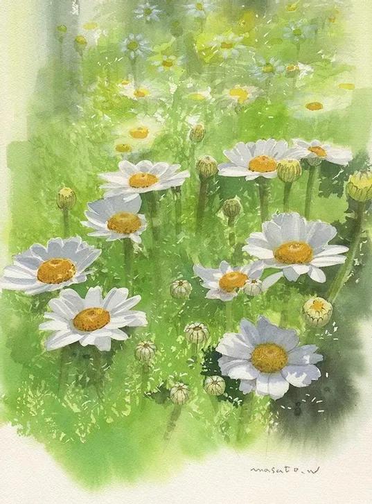 水彩大师笔下的花卉,简单唯美的水彩花卉