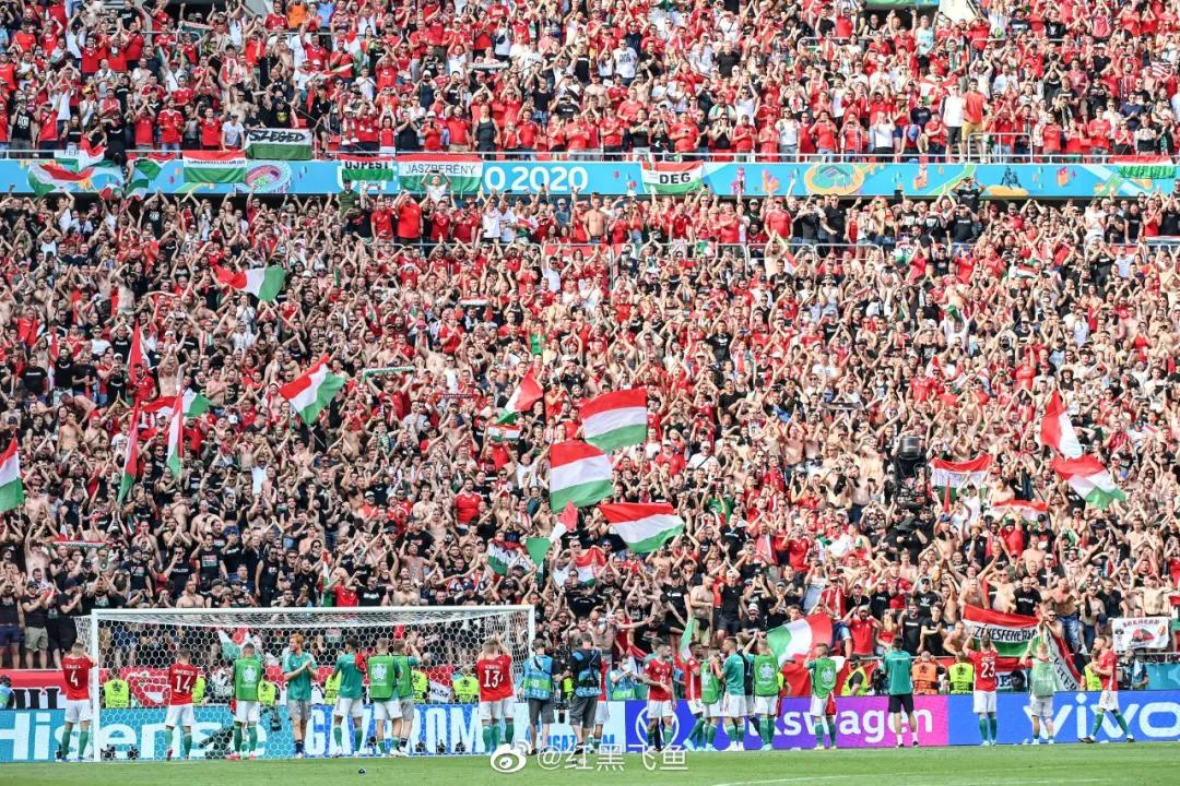 天津津门虎队员卡达尔伤势,天津津门虎中后卫外援卡达尔