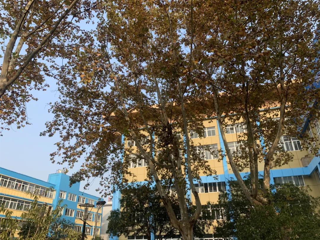 秦外集团最新成员校一年巨变！​