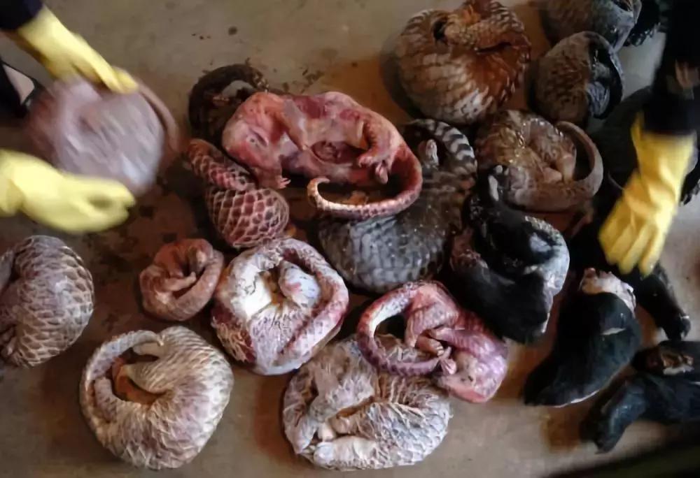 从孟晚舟到吴秀波，我看到了人性最大的恶