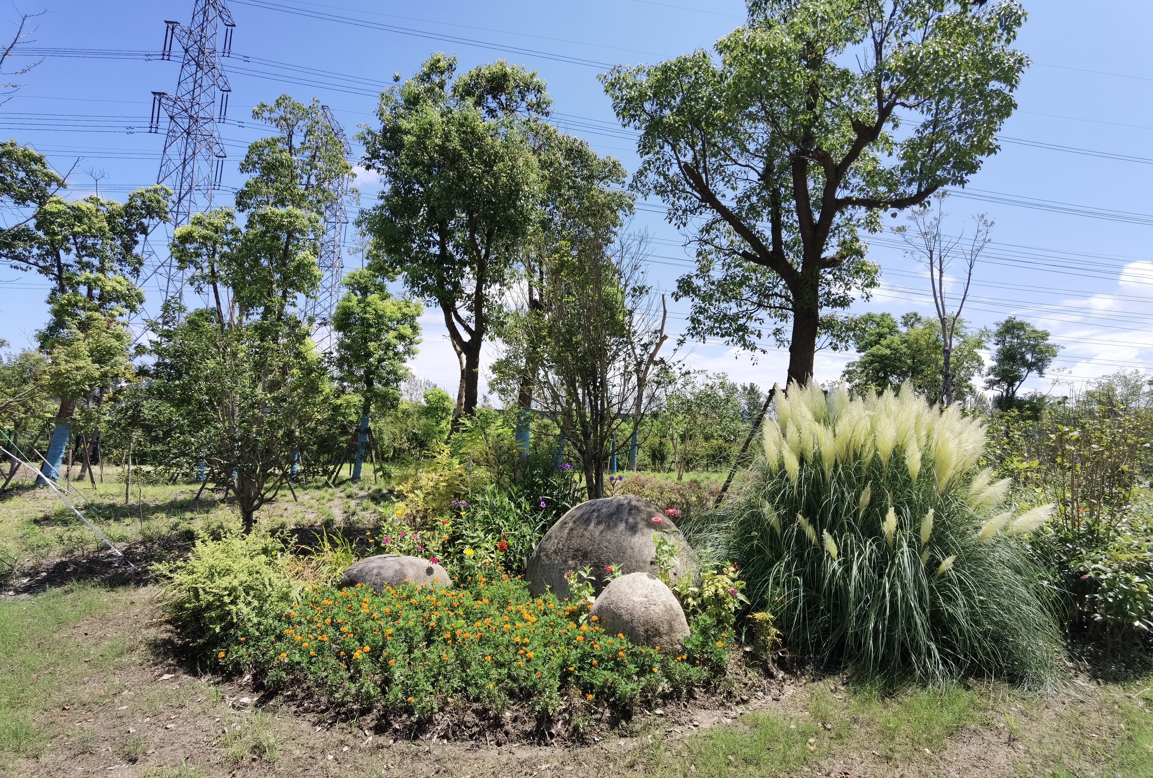 外高桥森兰公园,外高桥森兰绿洲公园