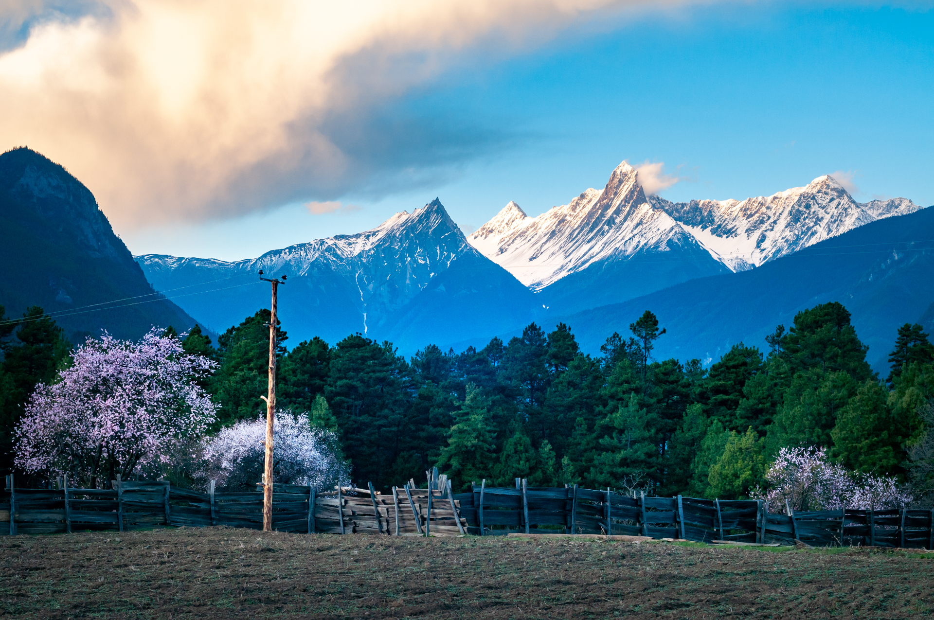 春天去哪里呢歌词,春天去哪里啊歌曲陕西