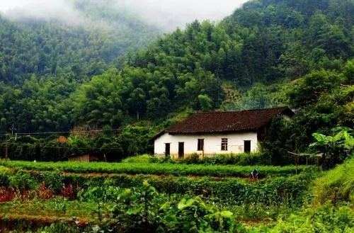 走遍天涯思故乡,走遍天涯是什么歌