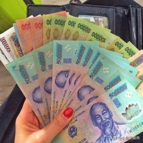 如何自己办理越南签证流程,如何快速办理越南签证