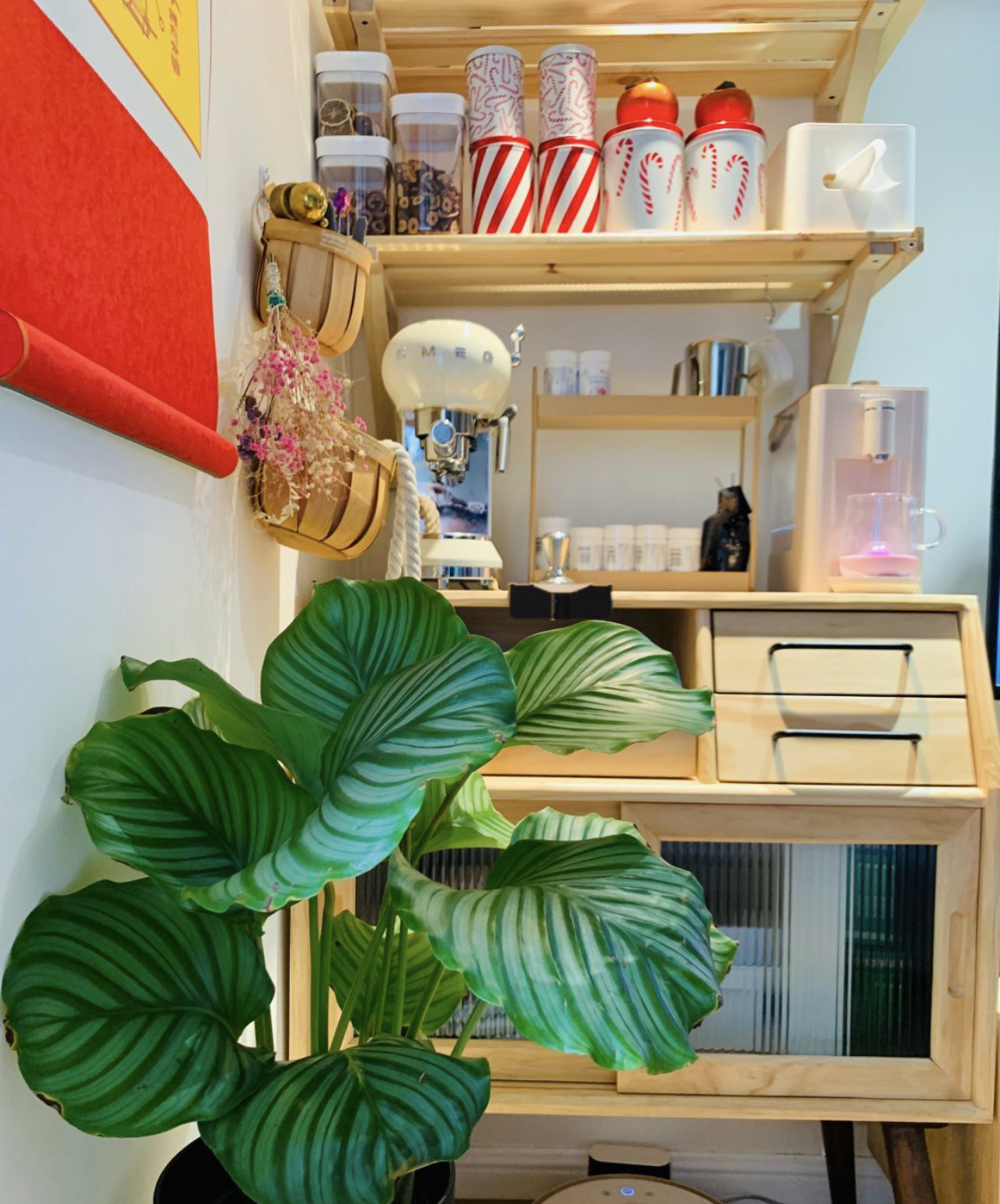 家里家外都收拾得井井有条,这是我见过最强收纳家具