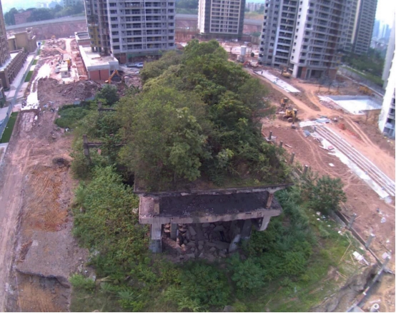 扫街日记100篇,扫街日记视频