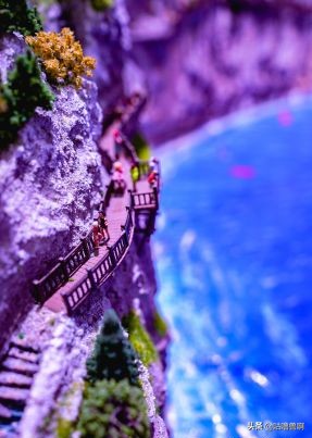 带你发现上海超治愈打卡地,上海人不会推荐的地方