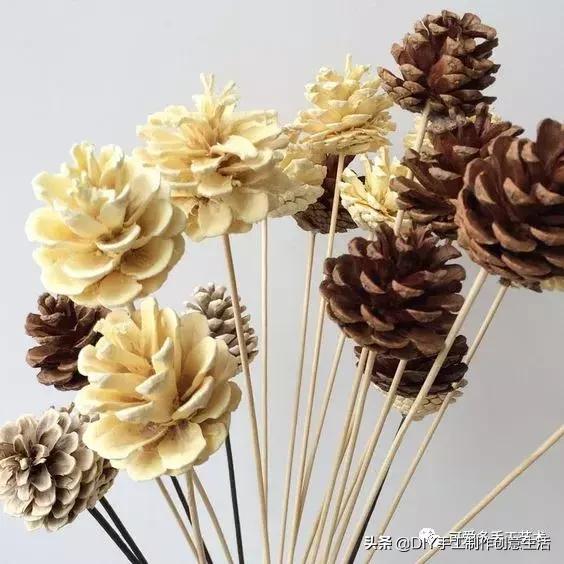 坚果壳吃完不要扔垃圾桶,坚果果壳做手工