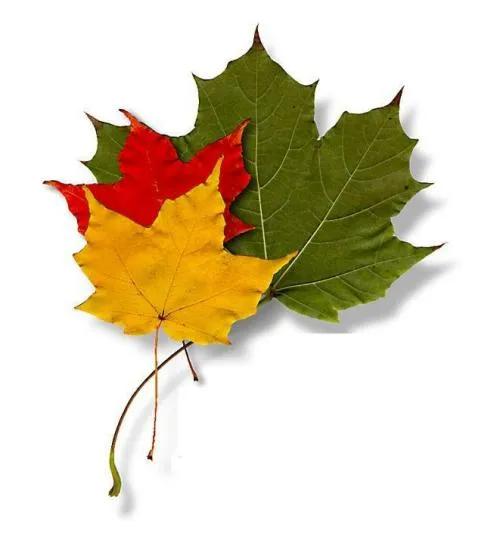 如何确定目标是自己想要的目标,确定了目标想做什么