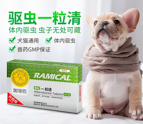 猫狗必备的药,收藏必备药品