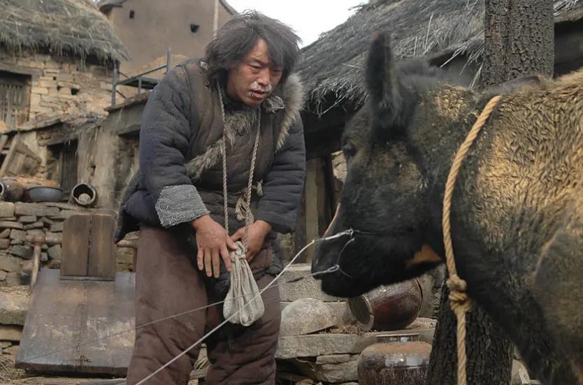 斗牛比较搞笑的,斗牛最搞笑的时候