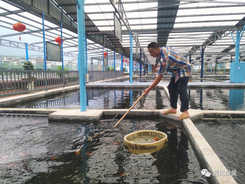 美得“惊动”中央媒体？说的是闽侯这个招牌