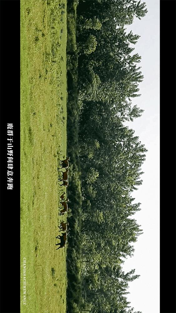 田园低空飞行,田园采摘之旅