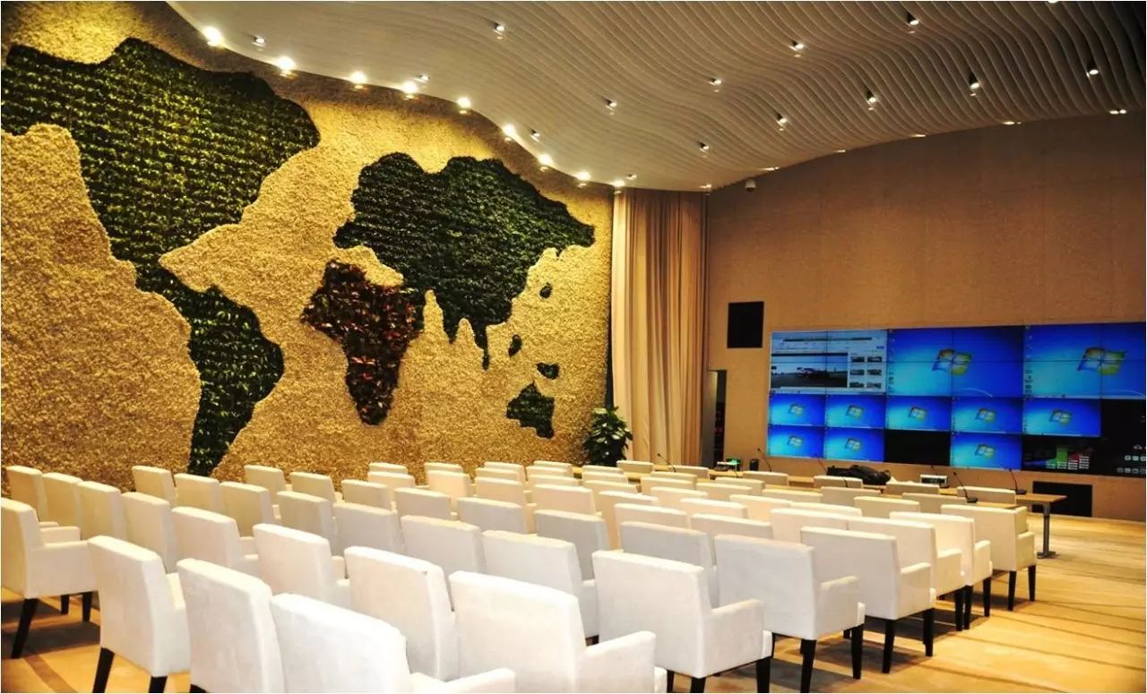 pvc塑料绿植,绿植盆里的塑料