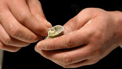 用这种面粉包饺子，特别适合血糖高和想减肥的人，吃了不怕胖