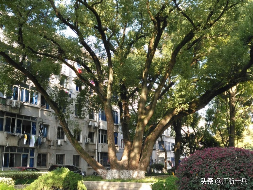 岁月如歌永远灿烂,岁月如歌四季轮回