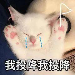 肯德基双层嫩牛堡和巨无霸,肯德基双层嫩牛堡和厚牛堡哪个好