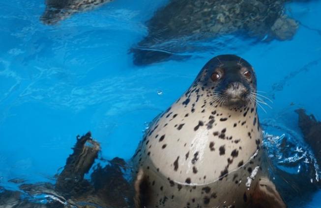 大连行程攻略,大连旅行攻略详细路线推荐图