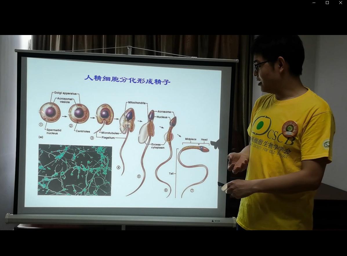精子科学简史,生物学家辟谣精子的真相