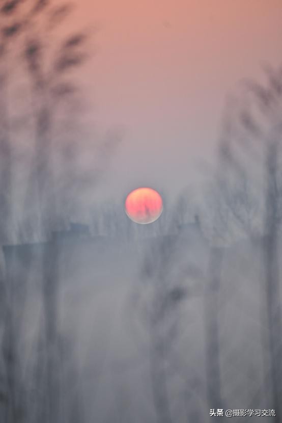 尼康z50延时怎么设置,尼康z50深度使用体验