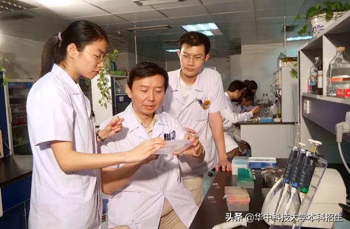 宫颈癌研究获重大突破,宫颈癌治疗的前沿研究