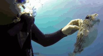 辽宁aaaa景区有哪些景点,辽宁新增5a级景区