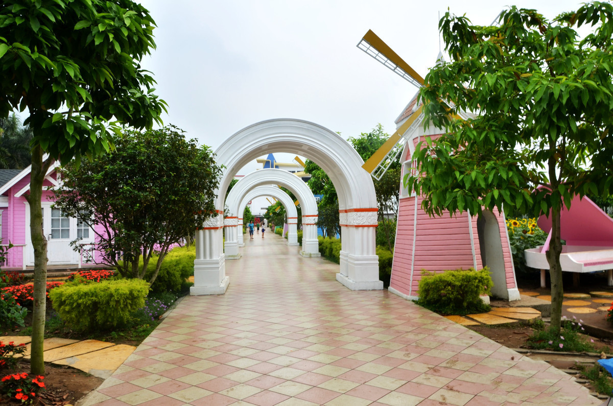 南沙百万葵园玩的景点推荐,广州南沙百万葵园