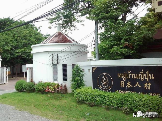 中国人的勤奋自学,中国人勤奋