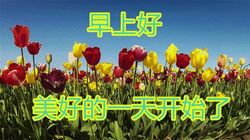 最新的早上好问候语句图片,微信早上好问候祝福语图片大全