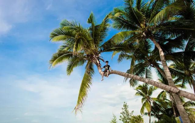 史上最全的三亚旅游攻略春季出行赶紧收藏