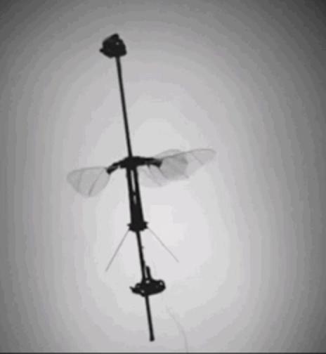 重量最轻的超小型无人机,史上最轻的无人机