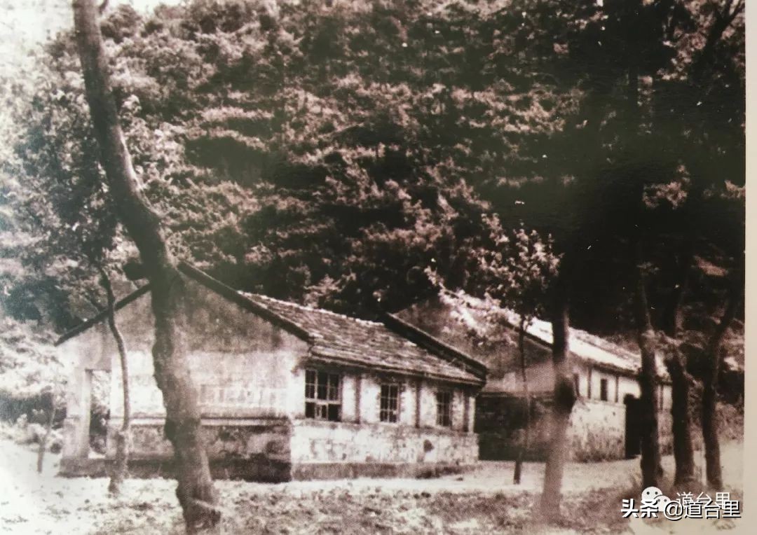 我的母校儿时记忆完整版,椒江二中历史照片