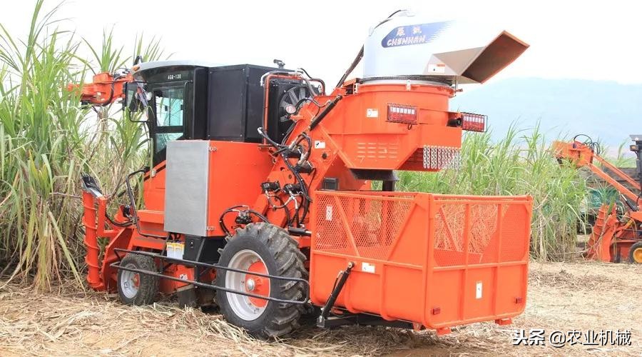 鐢樿敆鐢滆湝鐨勮儗鍚庢湁杈涢吀,鐢樿敆鍒剁硸鐨勫巻鍙茬殑鏁呬簨