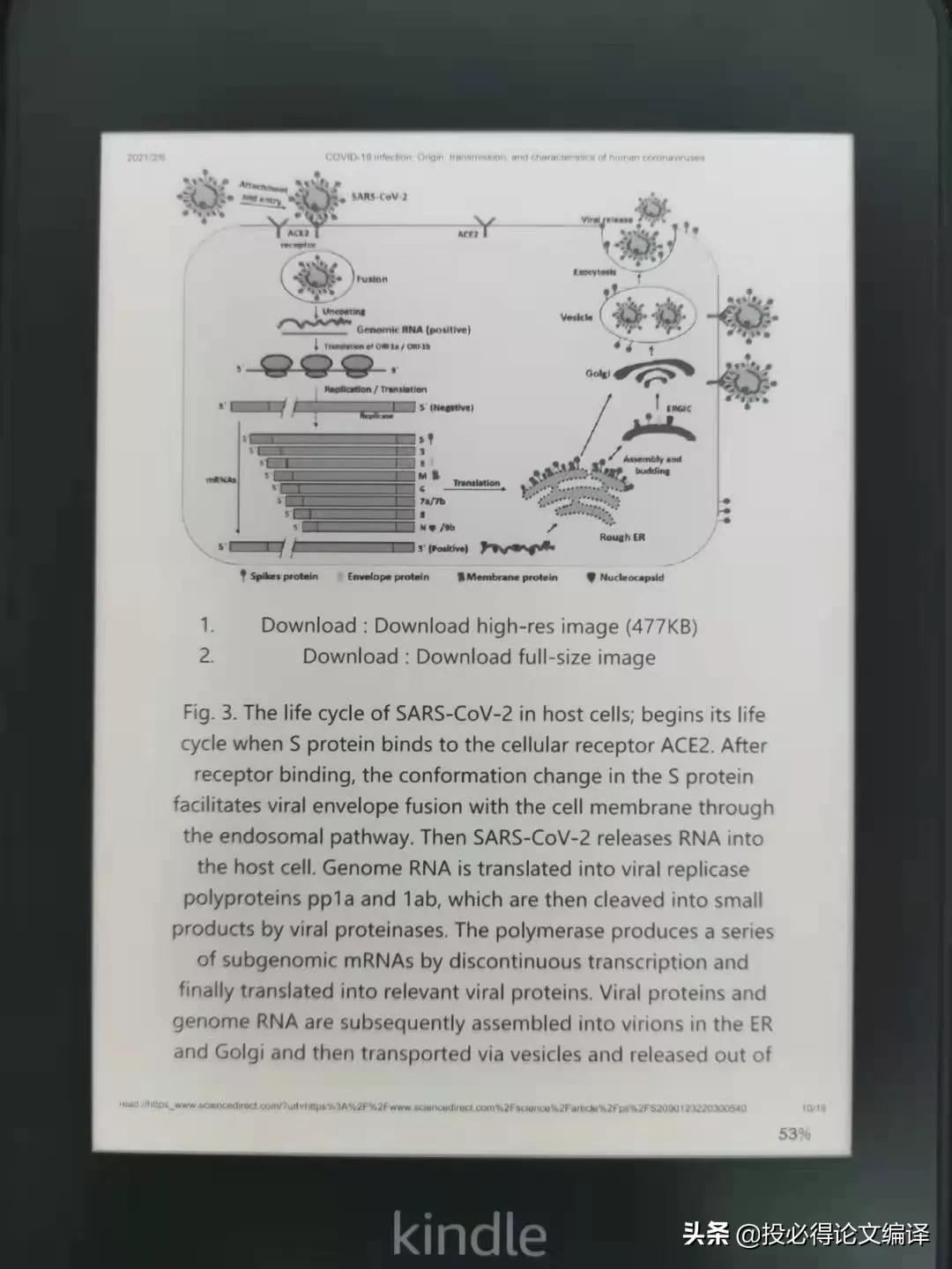 用kindle看word,手机怎么看sci论文