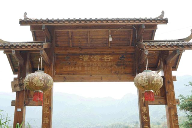 清明周末去哪玩？青田这个神仙山村必须打卡