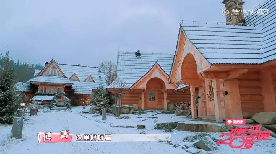 横冲直撞20岁波兰,横冲直撞20岁评价