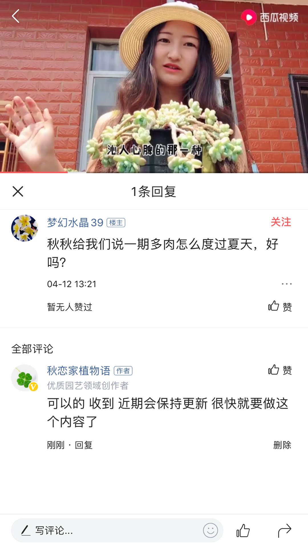 多肉怎么度过夏天,多肉夏季可以安全的度过夏季吗