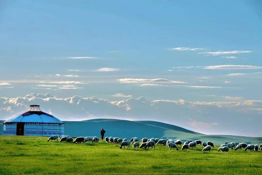突然想去新疆旅游,突然好想去呼伦贝尔