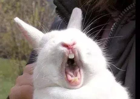 摸一下肚子就怀孕,都市传说怀孕