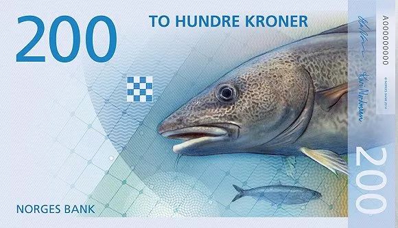 认错薛之谦算什么把鳕鱼当作咸鱼才叫IN!