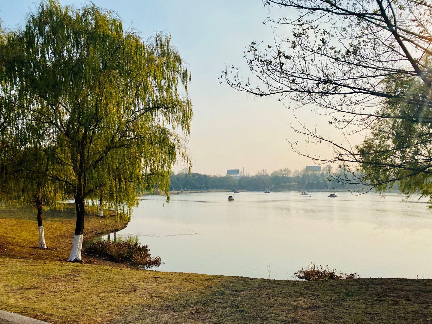 南京最适合夜晚的公园,南京周末户外打卡景点
