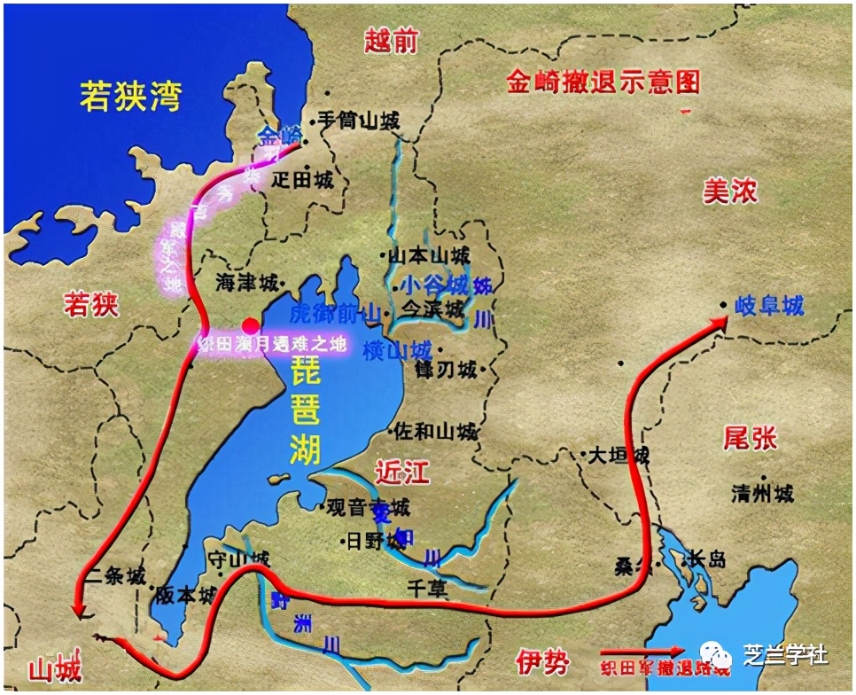 逃跑皇帝逃跑了16年,逃命皇帝完整版