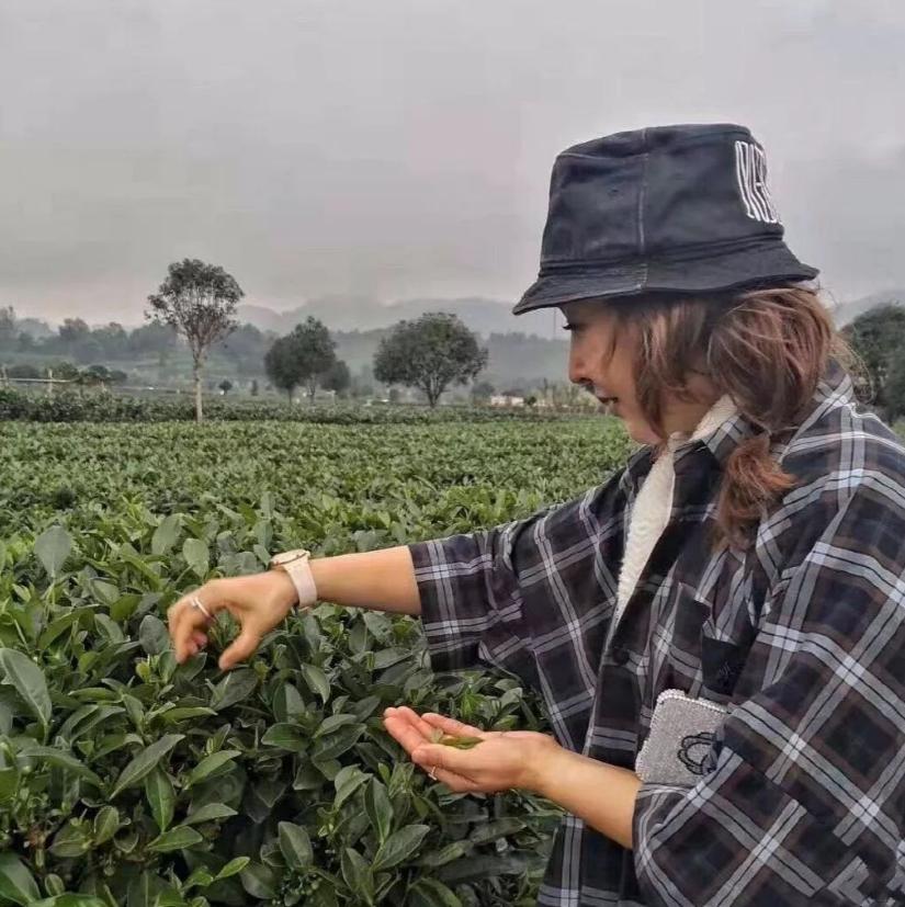 红极一时却消失的四位歌手,当年红极一时后就消失的十位歌手