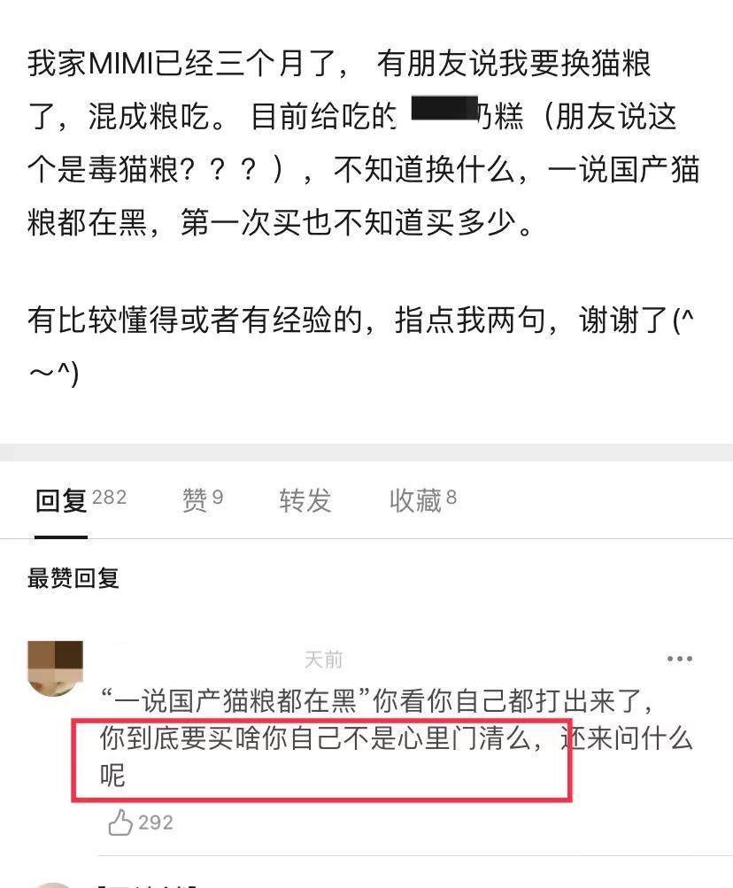 本以为养猫是为了不孤单,以为单身就可以自由