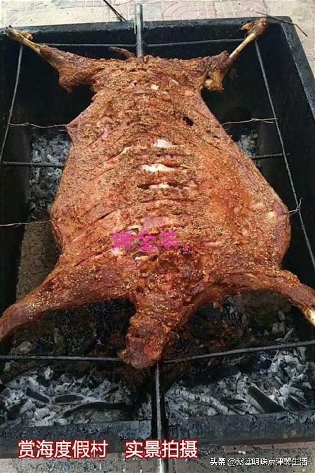 辽宁东戴河海景房,辽宁东戴河观海度假村