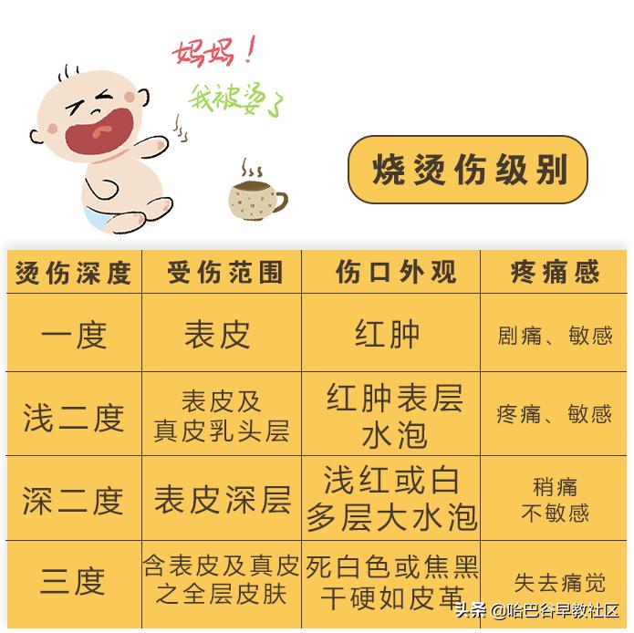 宠物烫伤怎么处理多喝水,宠物咬伤烫伤