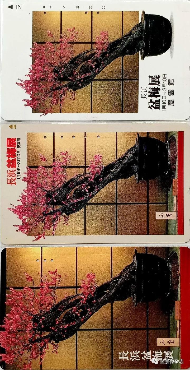 鐩嗘櫙鑱旂郴鐢佃瘽鍙风爜,涓鐩嗘櫙鑱旂郴鏂瑰紡