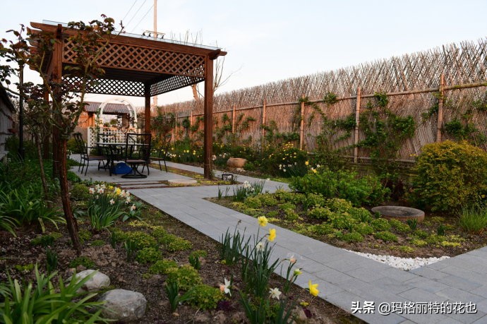 上海洋水仙,上海璞素上居民宿抖音团购