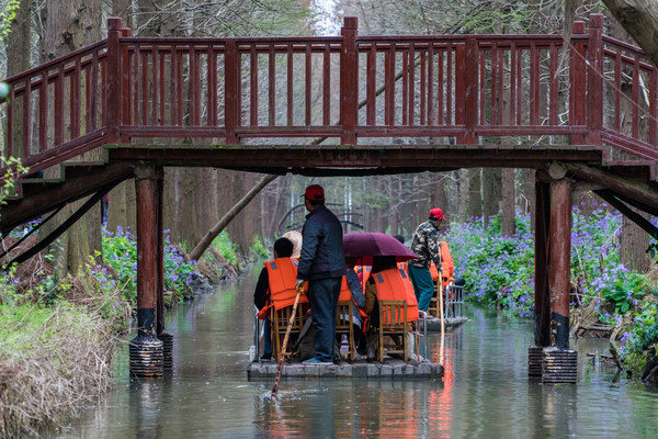踏春赏花正当时，打卡千垛水上油菜花！玩转兴化景点美食全攻略
