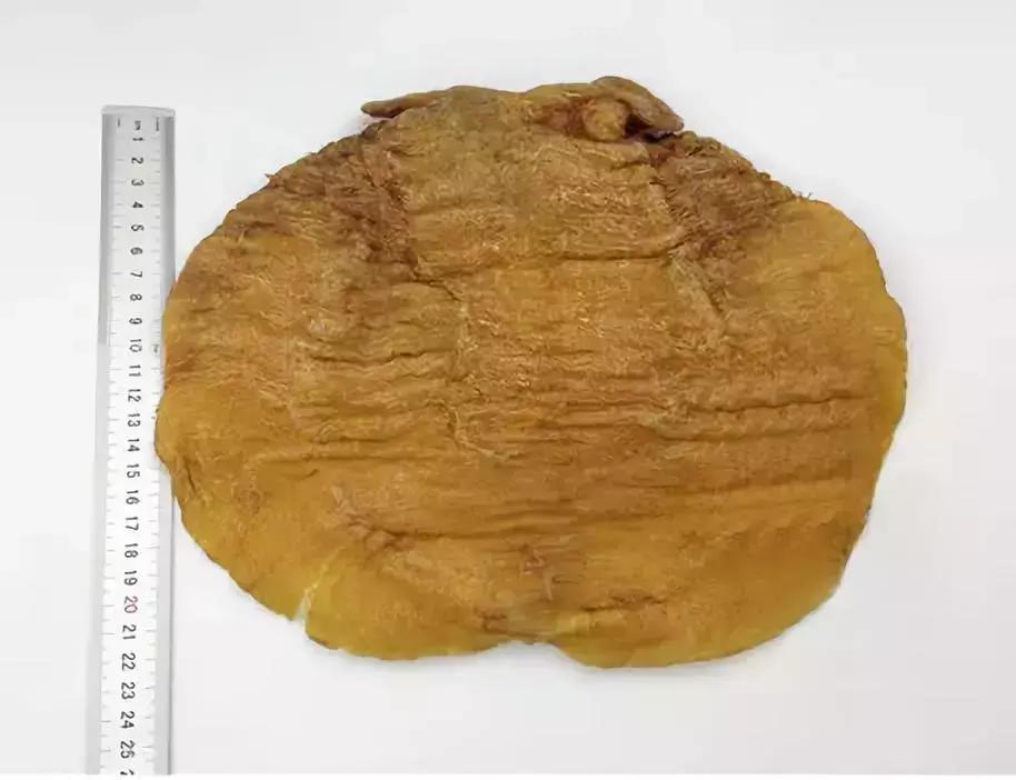 1斤深海花胶鱼胶,鱼胶花胶有区别吗